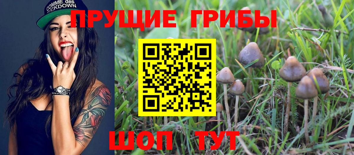 Галлюциногенные грибы мухоморы Великий Новгород