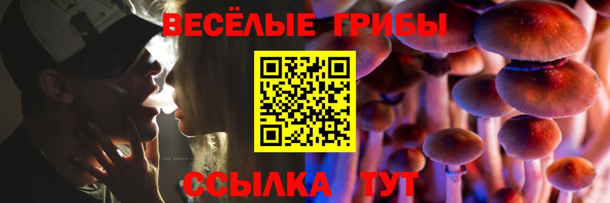 Галлюциногенные грибы мухоморы  Вход с VPN  Великий Новгород 